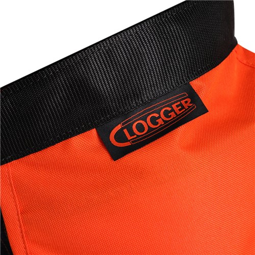 C8 CHAPS_8